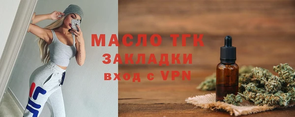 дживик Бородино