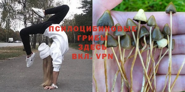 скорость Остров