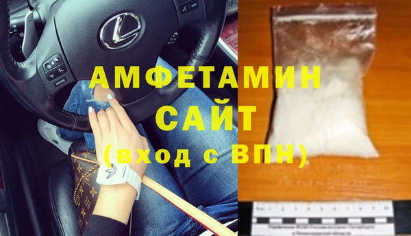 дживик Бородино