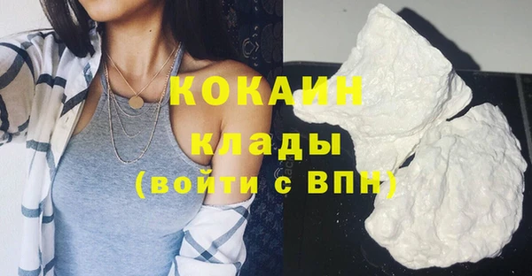 дживик Бородино