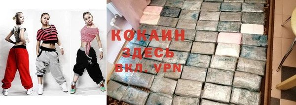 дживик Бородино